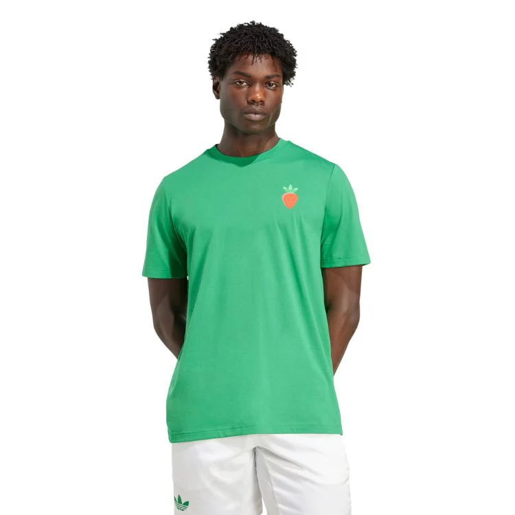 Adidas T-Shirt Graphic Tee Groen